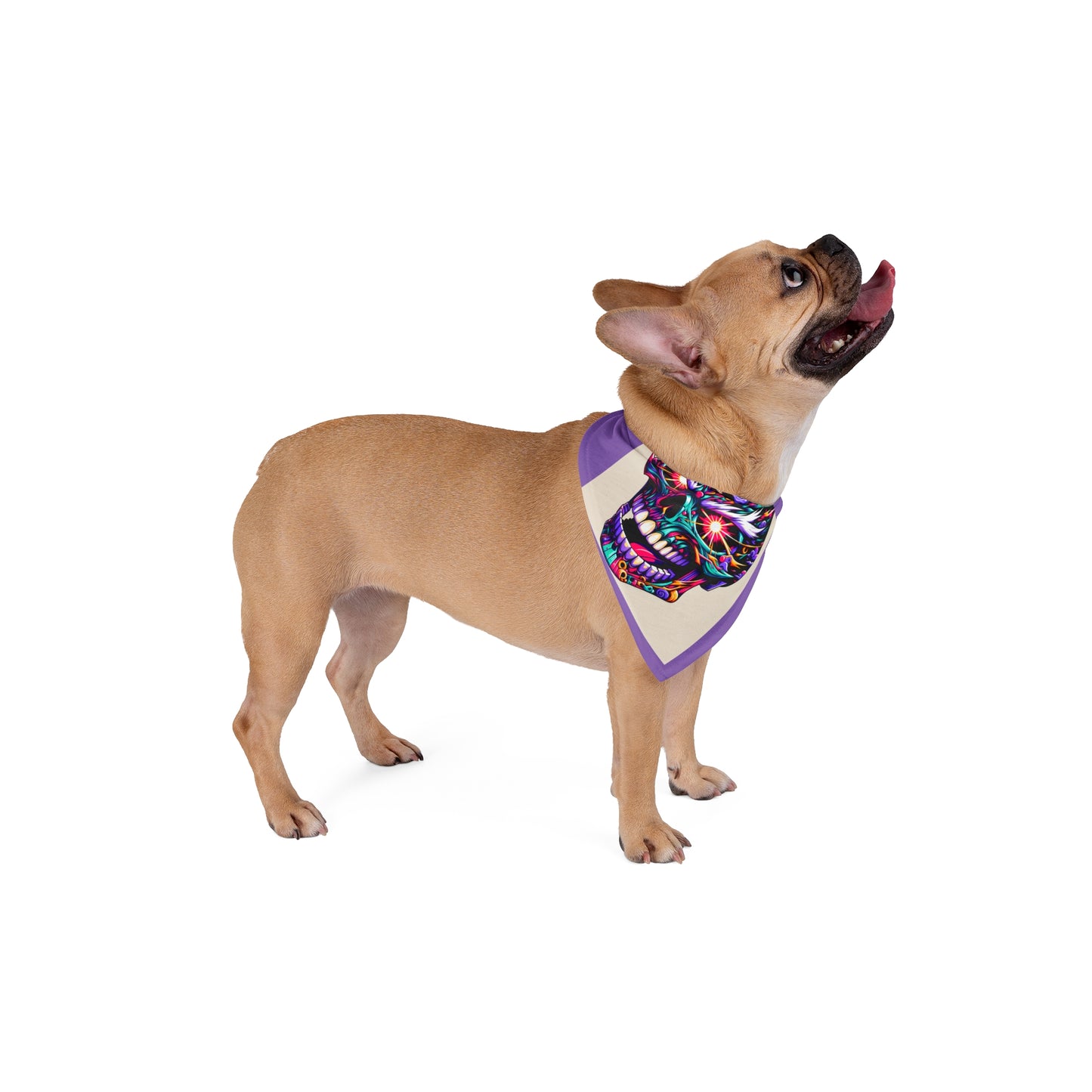 Pet Bandana Purple Skull π π